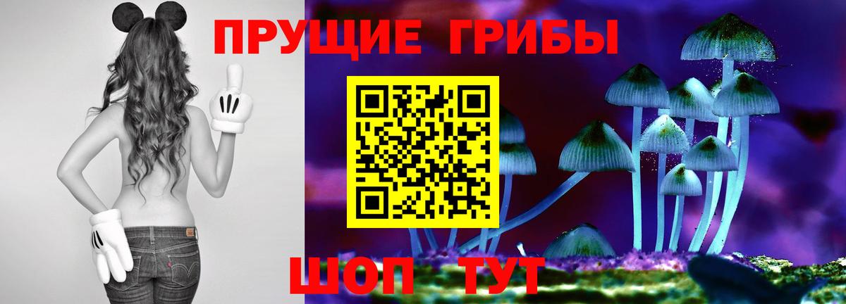 Галлюциногенные грибы Magic Shrooms  Вход с VPN  Донской 