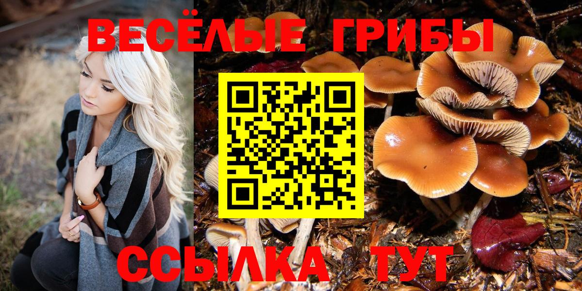 Псилоцибиновые грибы мицелий Донской